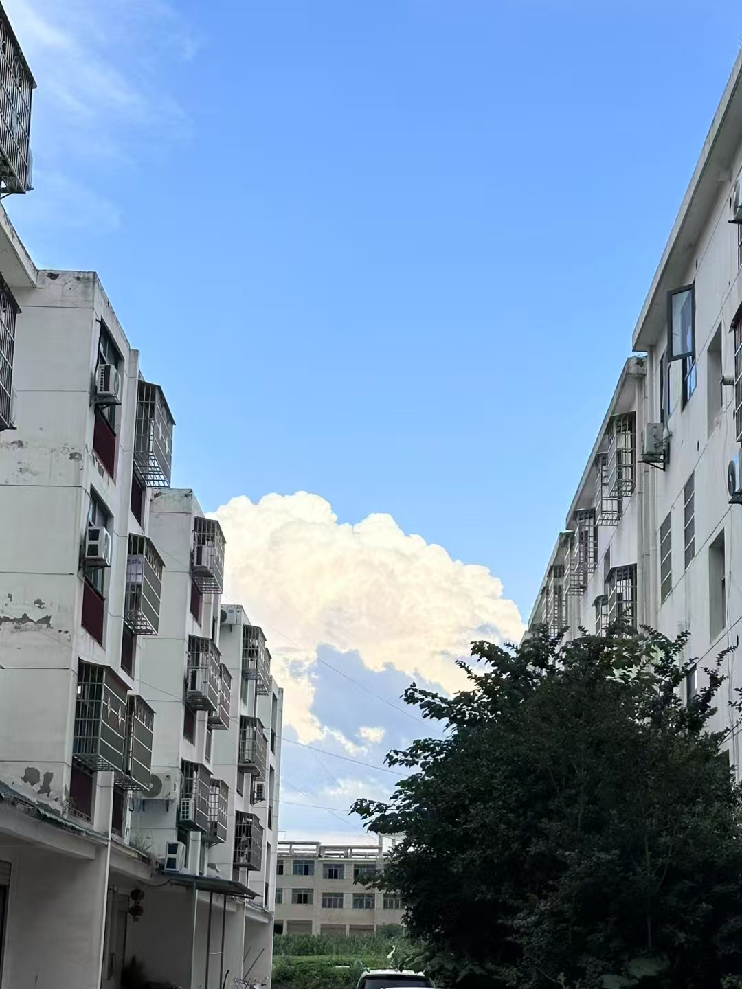 微信图片_20250623194020_5.jpg